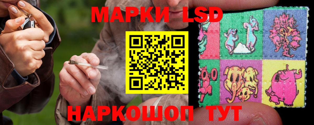 ссылка на мегу   LSD-25 экстази кислота  Лсд 25 экстази кислота  Вход с VPN  Лесной 