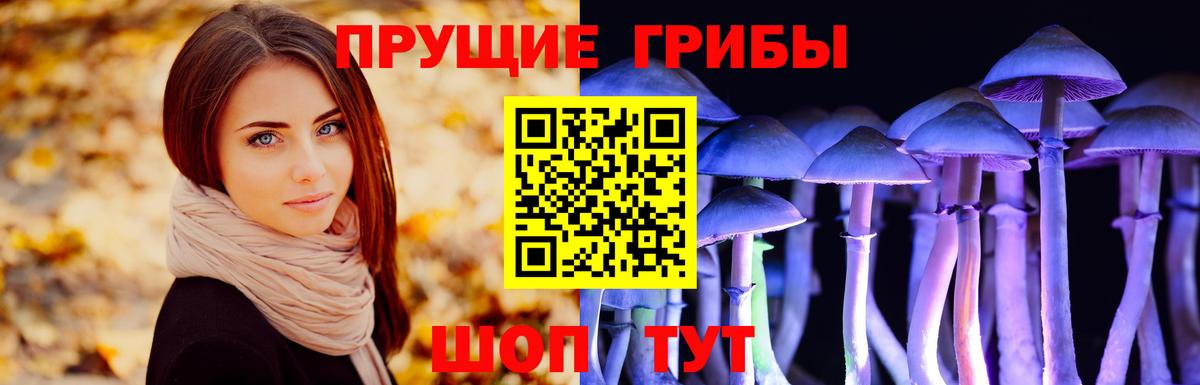 Лесной  магазин продажи наркотиков  Галлюциногенные грибы Psilocybe  Вход с VPN  Псилоцибиновые грибы мухоморы 